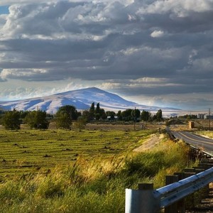 Fundraising Page: Meagan Hansen